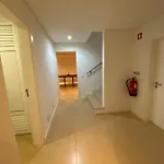 Amora -