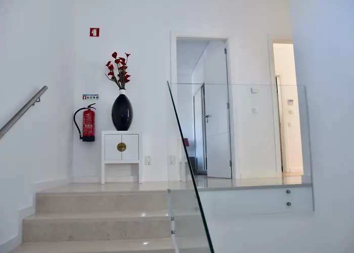 Amora - * 维拉摩拉