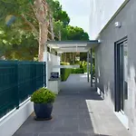 Amora -